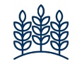 Icon of tree leaves to illustrate agriculture.